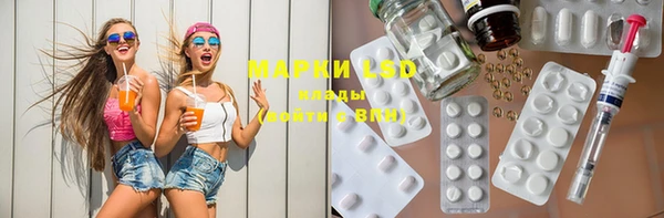PSILOCYBIN Киренск