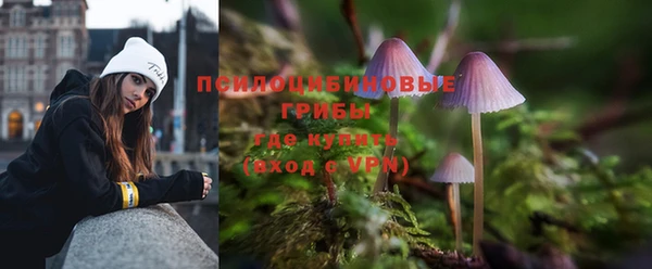 стафф Новочеркасск