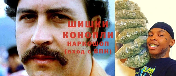 ешки Бородино